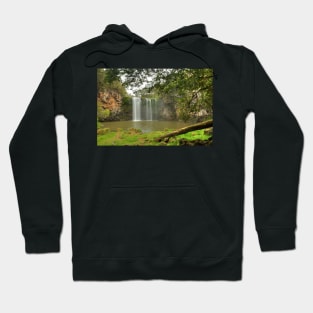 Dangar Falls Framed By Log & Tree Hoodie